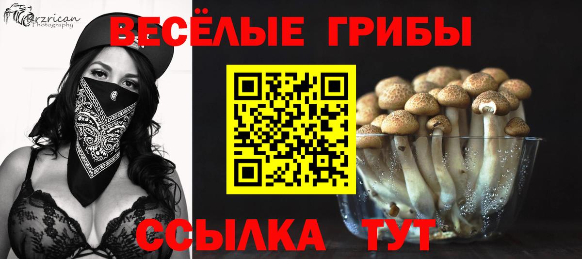 Псилоцибиновые грибы Cubensis  где можно купить наркотик  Киров  Галлюциногенные грибы ЛСД  Вход с VPN 